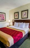 Туры в отель Island Hotel of the Space Coast Туры в отель Island Hotel of the Space Coast