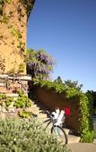 Туры в отель River Terrace Inn Туры в отель River Terrace Inn