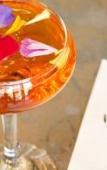 Туры в отель River Terrace Inn Туры в отель River Terrace Inn