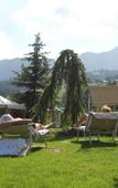 Туры в отель Active Hotel Olimpic Туры в отель Active Hotel Olimpic