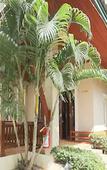Туры в отель Kata Forte Resort Туры в отель Kata Forte Resort
