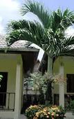 Туры в отель Ron's Bungalow Туры в отель Ron's Bungalow