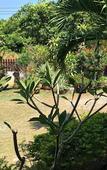 Туры в отель Ron's Bungalow Туры в отель Ron's Bungalow
