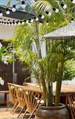 Туры в отель Moorea Boutique Resort Samui Туры в отель Moorea Boutique Resort Samui