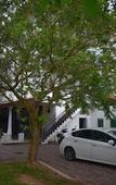 Туры в отель Sanri villa Katunayaka Туры в отель Sanri villa Katunayaka