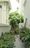 Туры в отель V120 The Signature Tropical Villa Туры в отель V120 The Signature Tropical Villa