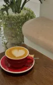 Туры в отель Lotus Home Cafe Туры в отель Lotus Home Cafe