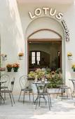 Туры в отель Lotus Home Cafe Туры в отель Lotus Home Cafe