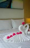 Туры в отель Elene Hotel Туры в отель Elene Hotel