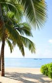 Туры в отель InterContinental Sanya Resort by IHG Туры в отель InterContinental Sanya Resort by IHG