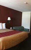 Туры в отель Red Carpet Inn Norwalk Туры в отель Red Carpet Inn Norwalk