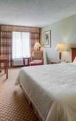 Туры в отель Hilton Garden Inn Norwalk Туры в отель Hilton Garden Inn Norwalk
