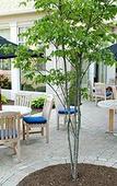 Туры в отель Hilton Garden Inn Norwalk Туры в отель Hilton Garden Inn Norwalk