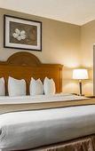 Туры в отель Quality Inn & Suites Fishkill South near I-84 Туры в отель Quality Inn & Suites Fishkill South near I-84
