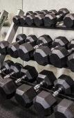 Туры в отель Quality Inn & Suites Fishkill South near I-84 Туры в отель Quality Inn & Suites Fishkill South near I-84