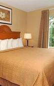 Туры в отель Quality Inn & Suites Fishkill South near I-84 Туры в отель Quality Inn & Suites Fishkill South near I-84