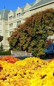 Туры в отель Hilton Pearl River Туры в отель Hilton Pearl River