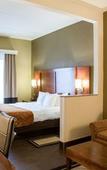 Туры в отель Comfort Suites Grand Rapids South Туры в отель Comfort Suites Grand Rapids South