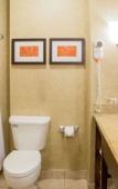 Туры в отель Comfort Suites Grand Rapids South Туры в отель Comfort Suites Grand Rapids South