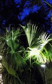 Туры в отель The Caribbean Court Boutique Hotel Туры в отель The Caribbean Court Boutique Hotel