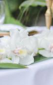 Туры в отель The Caribbean Court Boutique Hotel Туры в отель The Caribbean Court Boutique Hotel