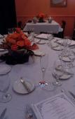 Туры в отель The Caribbean Court Boutique Hotel Туры в отель The Caribbean Court Boutique Hotel