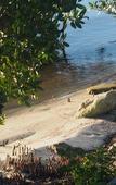 Туры в отель The Caribbean Court Boutique Hotel Туры в отель The Caribbean Court Boutique Hotel