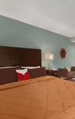 Туры в отель Baymont by Wyndham Latham Albany Airport Туры в отель Baymont by Wyndham Latham Albany Airport