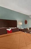 Туры в отель Baymont by Wyndham Latham Albany Airport Туры в отель Baymont by Wyndham Latham Albany Airport