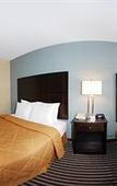 Туры в отель Baymont by Wyndham Latham Albany Airport Туры в отель Baymont by Wyndham Latham Albany Airport
