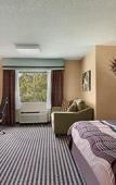 Туры в отель Baymont by Wyndham Latham Albany Airport Туры в отель Baymont by Wyndham Latham Albany Airport