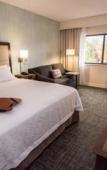 Туры в отель Hampton Inn Albany-Western Ave/University Area Туры в отель Hampton Inn Albany-Western Ave/University Area