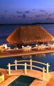 Туры в отель Omni Puerto Aventuras Beach Resort Туры в отель Omni Puerto Aventuras Beach Resort