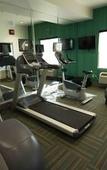 Туры в отель Holiday Inn Express Hotel & Suites West Coxsackie by IHG Туры в отель Holiday Inn Express Hotel & Suites West Coxsackie by IHG