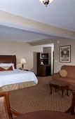 Туры в отель Hilton Garden Inn Troy Туры в отель Hilton Garden Inn Troy