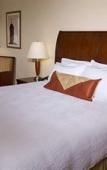 Туры в отель Hilton Garden Inn Troy Туры в отель Hilton Garden Inn Troy