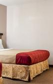 Туры в отель Econo Lodge Inn & Suites Colonie Center Mall Туры в отель Econo Lodge Inn & Suites Colonie Center Mall