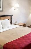 Туры в отель Econo Lodge Inn & Suites Colonie Center Mall Туры в отель Econo Lodge Inn & Suites Colonie Center Mall