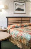 Туры в отель Econo Lodge Inn & Suites Colonie Center Mall Туры в отель Econo Lodge Inn & Suites Colonie Center Mall