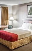 Туры в отель Econo Lodge Inn & Suites Colonie Center Mall Туры в отель Econo Lodge Inn & Suites Colonie Center Mall