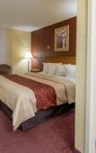 Туры в отель Red Roof Inn Clifton Park Туры в отель Red Roof Inn Clifton Park