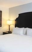 Туры в отель Collegian Hotel & Suites, Trademark Collection by Wyndham Туры в отель Collegian Hotel & Suites, Trademark Collection by Wyndham