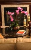 Туры в отель The Parkview Hotel, BW Premier Collection Туры в отель The Parkview Hotel, BW Premier Collection
