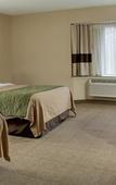 Туры в отель Comfort Inn & Suites Syracuse-Carrier Circle Туры в отель Comfort Inn & Suites Syracuse-Carrier Circle