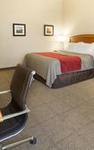 Туры в отель Comfort Inn & Suites Syracuse-Carrier Circle Туры в отель Comfort Inn & Suites Syracuse-Carrier Circle