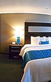 Туры в отель Holiday Inn & Suites - Syracuse/Airport Туры в отель Holiday Inn & Suites - Syracuse/Airport