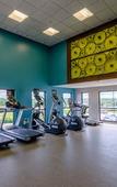 Туры в отель Holiday Inn & Suites - Syracuse/Airport Туры в отель Holiday Inn & Suites - Syracuse/Airport