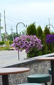 Туры в отель Holiday Inn & Suites - Syracuse/Airport Туры в отель Holiday Inn & Suites - Syracuse/Airport
