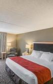 Туры в отель Comfort Inn - NYS Fairgrounds Туры в отель Comfort Inn - NYS Fairgrounds