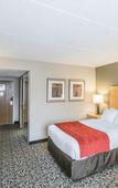 Туры в отель Comfort Inn - NYS Fairgrounds Туры в отель Comfort Inn - NYS Fairgrounds